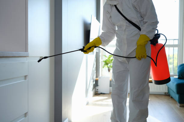 Best Local Mold Removal Service  in Coconut Creek, FL