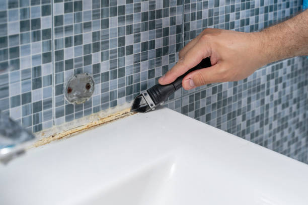 Best Office Mold Removal Services  in Coconut Creek, FL